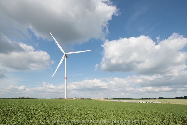 Les Vents d'Arpes, Ventis s.a., Vent+ asbl
parc éolien à Nivelles